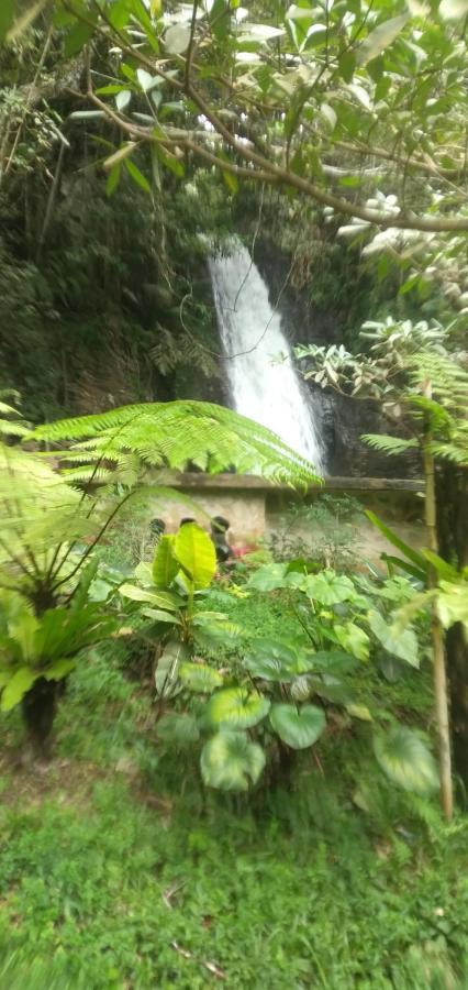 Hidayah Homestay クリムトゥ エクステリア 写真