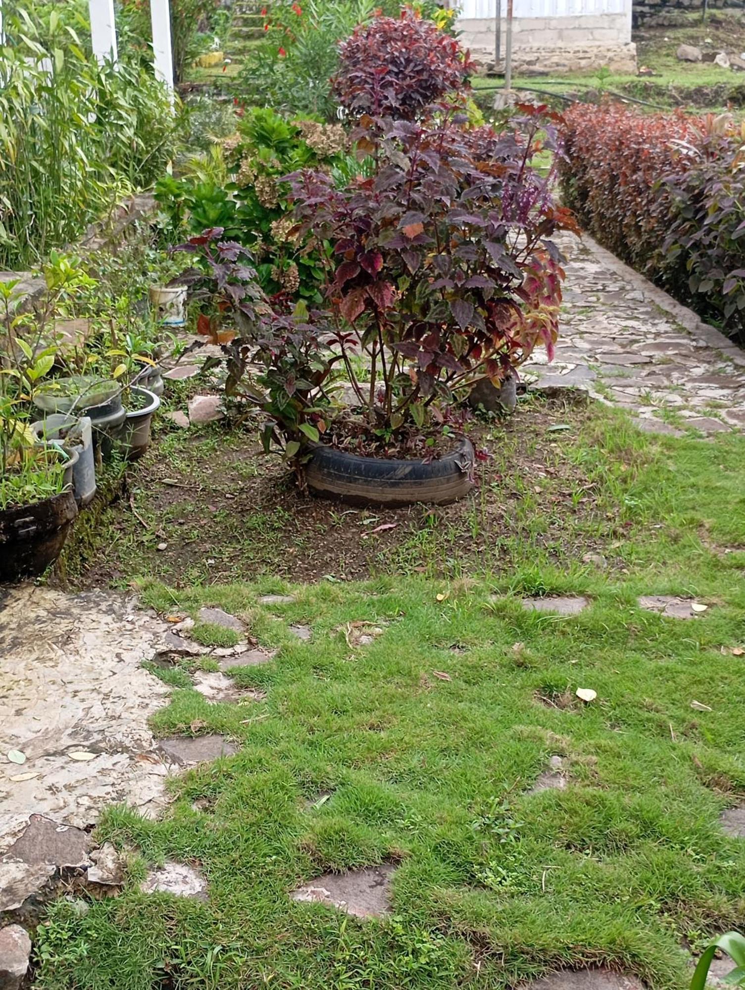 Hidayah Homestay クリムトゥ エクステリア 写真